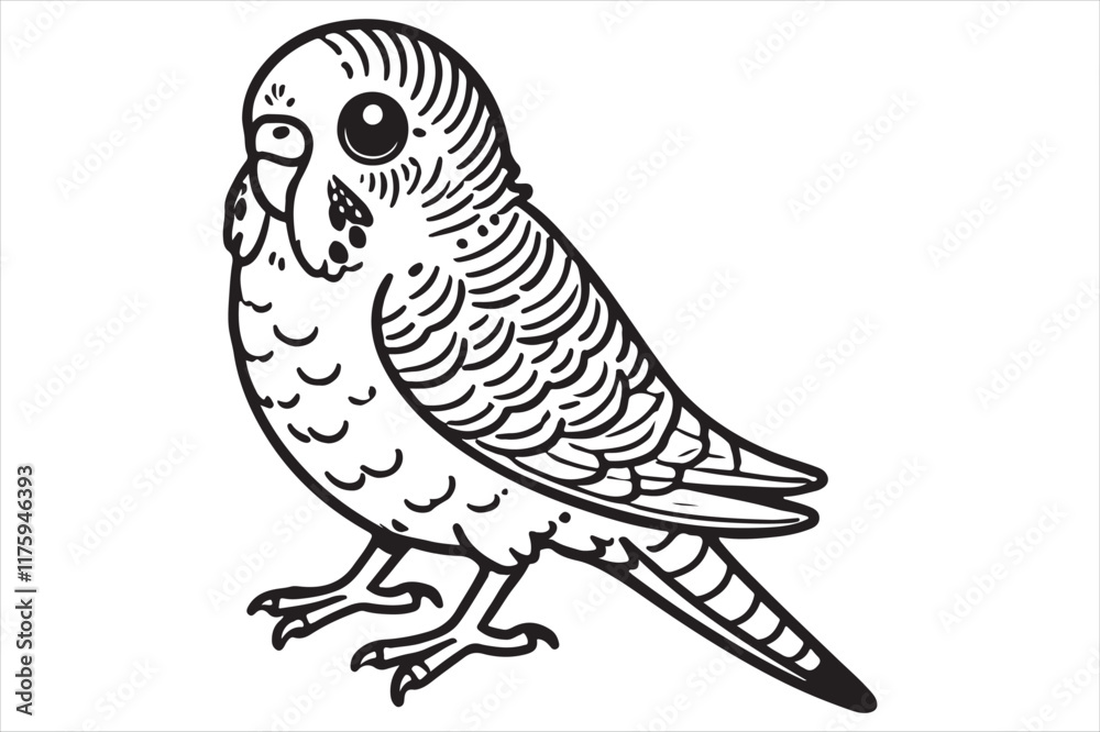 Fototapeta premium Line art of Budgerigar vector