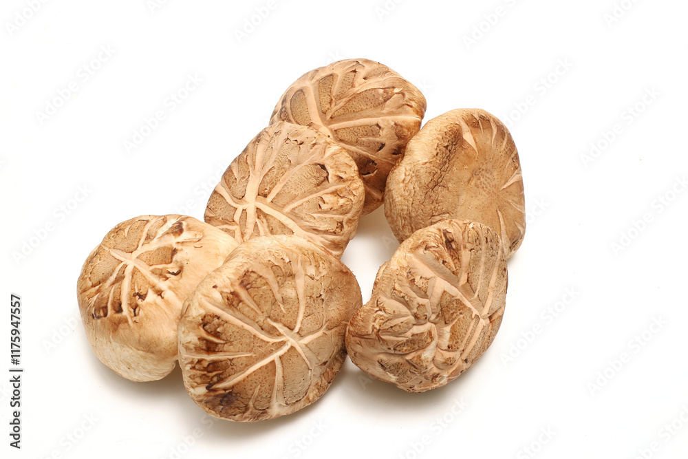 Fototapeta premium 白背景の生椎茸