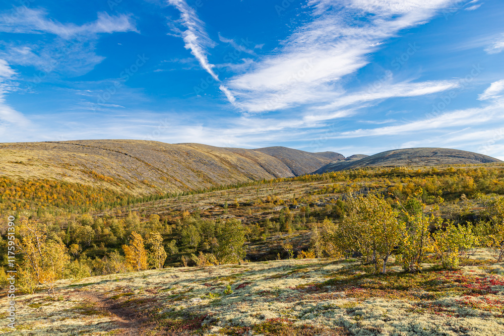 Autumn colored landscape at Khibiny mountains, Kola Peninsula, Murmansk region, Russia.