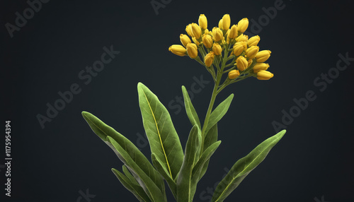 Yellow flowering plant with green leaves against a dark background showcases nature's beauty
