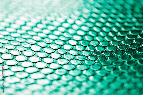 python skin macro detail, emerald and bronze scales photo