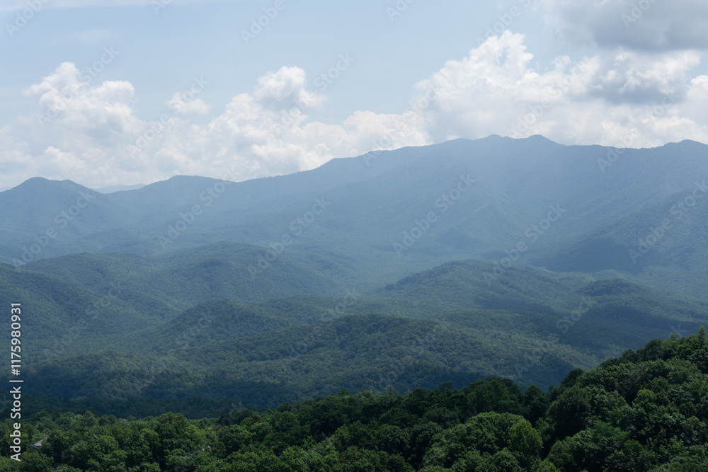 Serene Mountain Landscape with Rolling Fog and Lush Greenery Serene Mountain Landscape with Rolling Fog and Lush Greenery