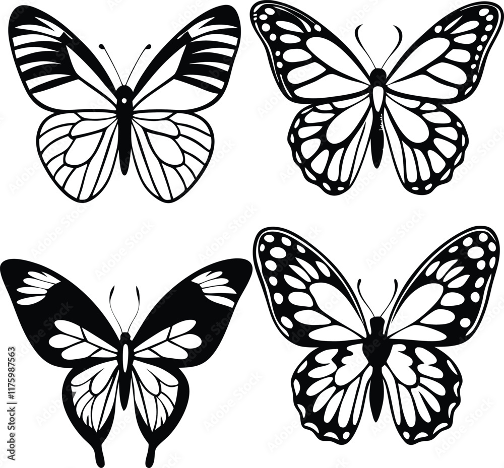 Obraz premium Admiral butterfly line arts with white background. Butterflies in vintage style set. Outlined sketches of flying insects, moths species collection. Retro detailed line drawings.