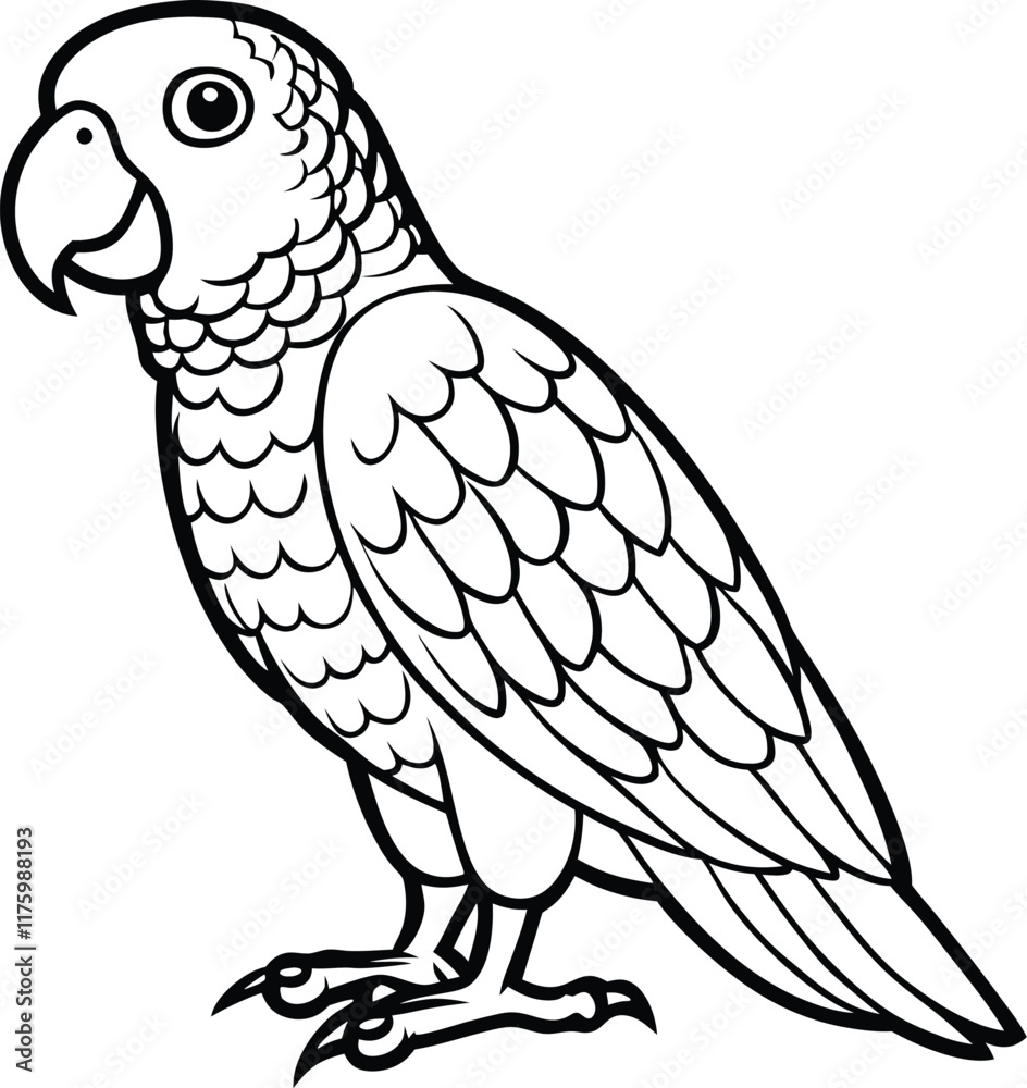 Obraz premium African grey parrot line arts with white background . Vector black gray African parrot silhouette isolated on white background