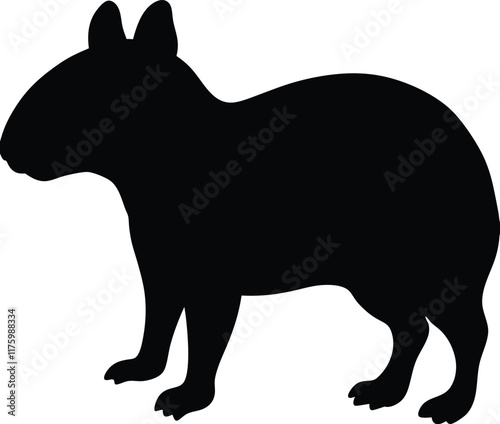 Agouti cute animal in colorful cartoon style isolated on white background. Vector graphics.