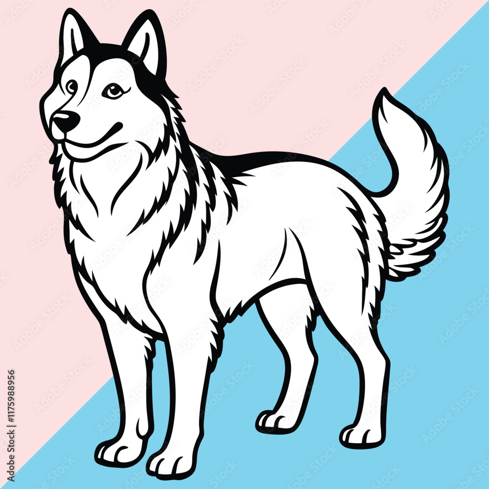 Naklejka premium Alaskan klee kai silhouette of a standing dog. Alaskan Klee Kai vector illustration isolated on white background in cartoon style.