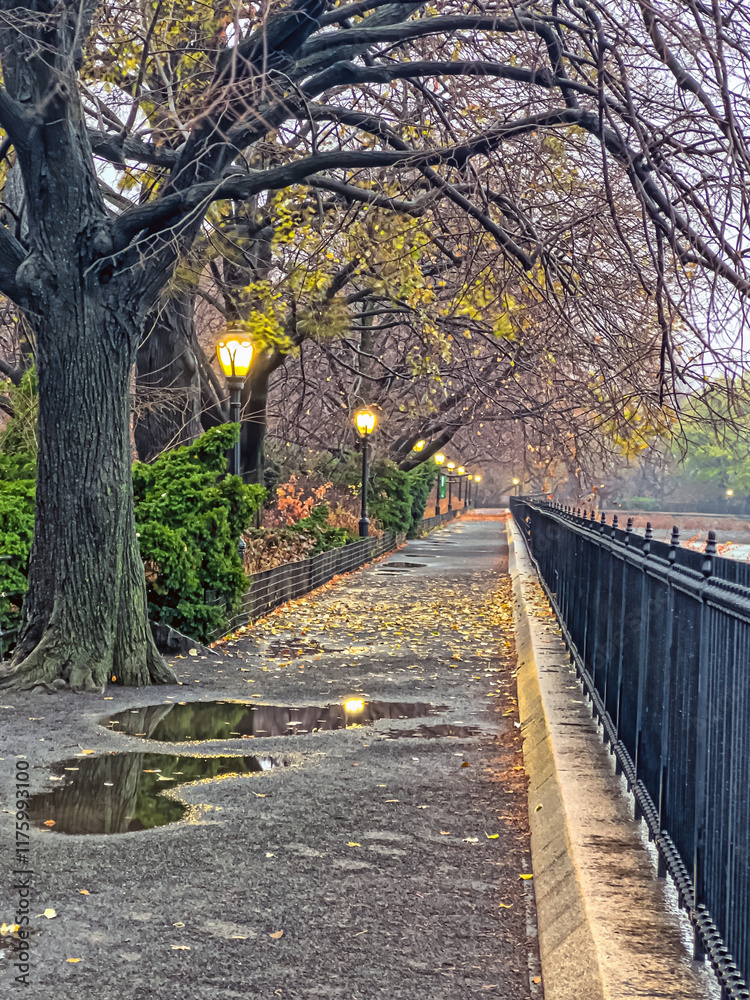 Central Park Reservoir in late autumn