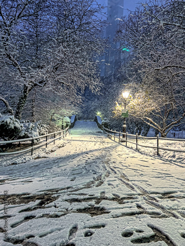 Gapstow Bridge in Central Park photo