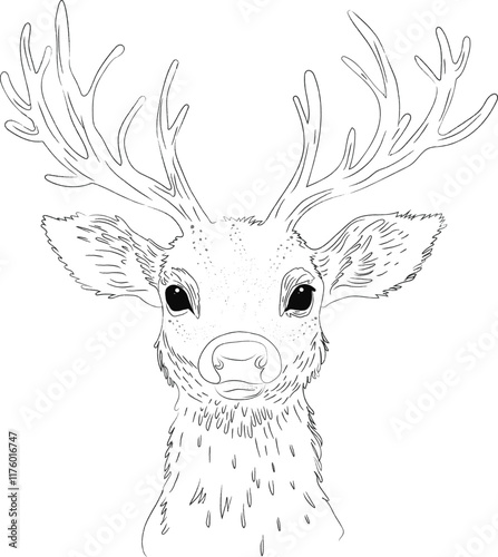 Deer head line art style vector. For package design, logo, icon.  photo