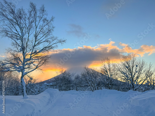 Scenic view of majestic Mt. Yotei illuminated by the orange sun rising above the snowy landscape of the idyllic Japanese countryside. Idyllic view of the Japanese mountains on a sunny winter evening. photo