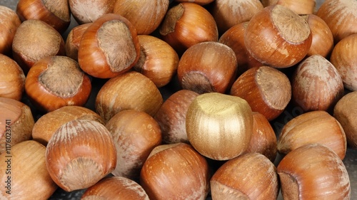 One golden hazelnut among many normal brown nuts. Zero infected. Symbolic for a talented worker, the best in his craft. 