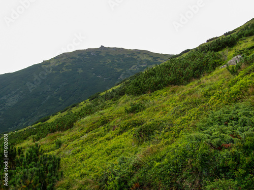 Lush green hillside view under a cloudy sky photo