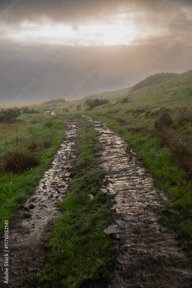 Muddy Two Track Trail Heads downhill toward Foggy Light Muddy Two Track Trail Heads downhill toward Foggy Light