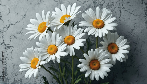 Beautiful daisy flowers arranged elegantly against a textured gray background in natural light