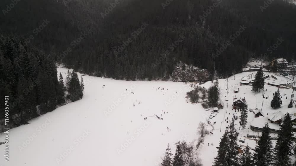 A Frozen Lake Surrounded by Beautifully SnowCovered Forests in a Tranquil Landscape A Frozen Lake Surrounded by Beautifully SnowCovered Forests in a Tranquil Landscape