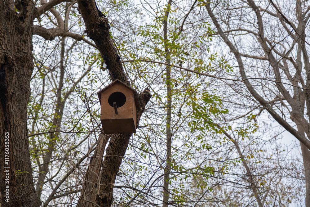Birdhouse with wooden roof hanging on the tree. Handmade wooden shelter house for birds in forest park Birdhouse with wooden roof hanging on the tree. Handmade wooden shelter house for birds in forest park