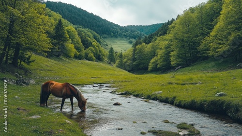 A horse drinking from a crystal-clear stream with reflections of the sky.