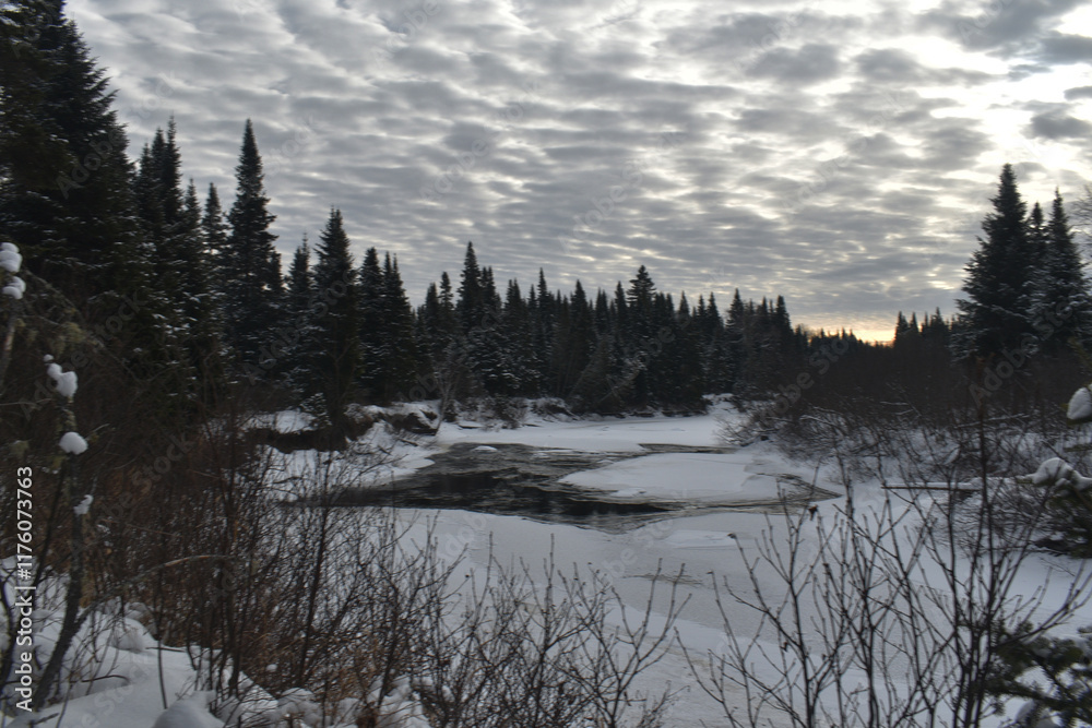 Obraz premium Parc Appalaches 24 Décembre Au 2 Janvier 2025 