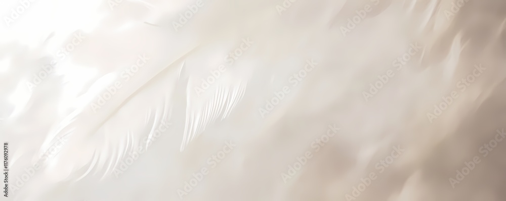 Soft White Wallpaper with a Subtle Warm Background Soft White Wallpaper with a Subtle Warm Background