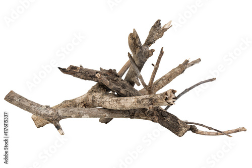 Dry wood pile isolated on white background with clipping path. Dry twigs pile ready for campfire, sticks, boughs heap for a fire, dry thin branches, brushwood.