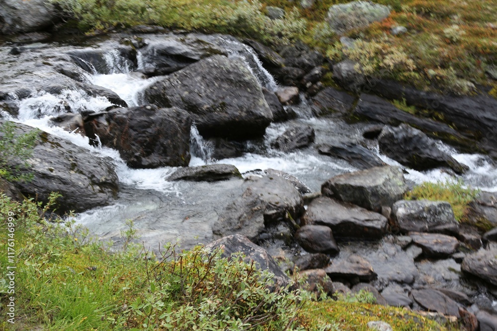 stream in the mountains stream in the mountains