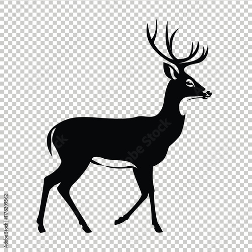 Whitetail deer vector