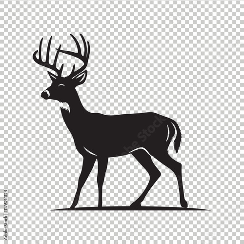 Whitetail deer vector