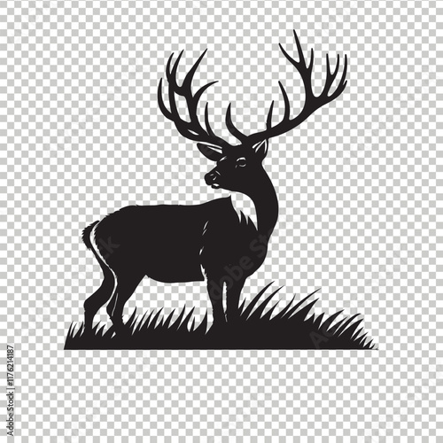 Whitetail deer vector