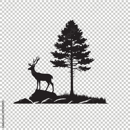 Whitetail deer vector