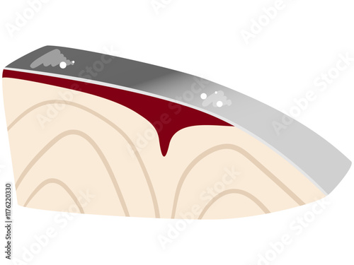 ブリ　鰤　切り身　イラスト　ベクター
