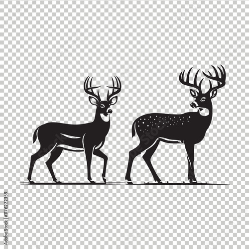 Whitetail deer vector