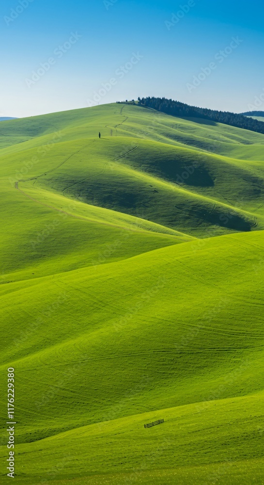 Obraz premium Breathtaking View of Rolling Green Hills in Nature