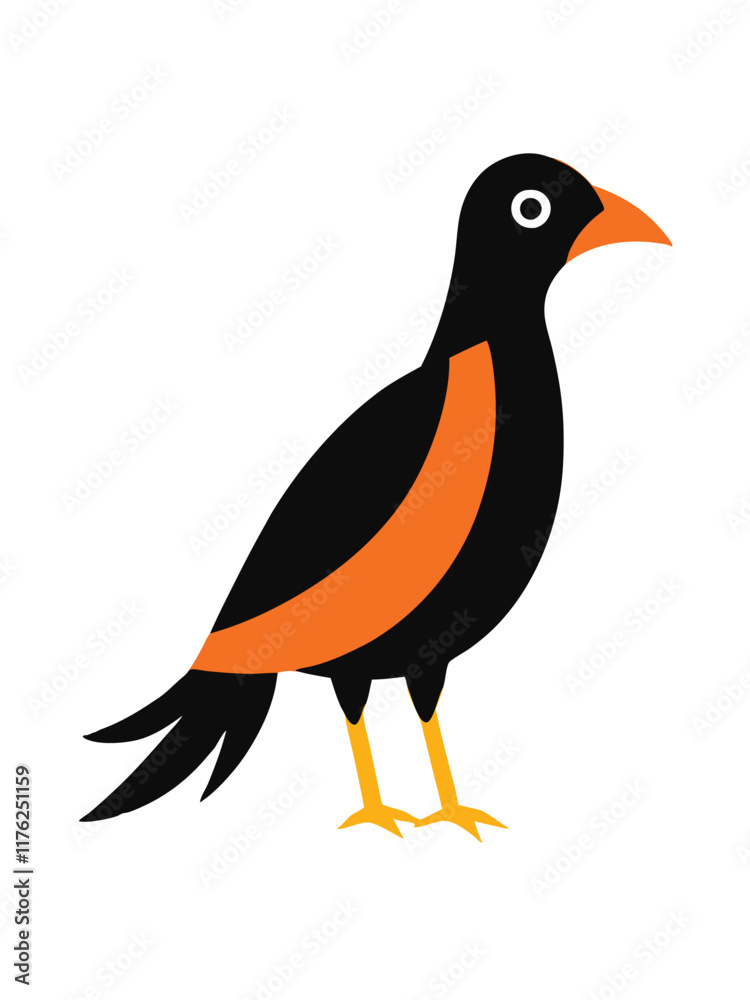 Bird vector art on white background
