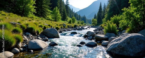 A mountain stream flows over rocks and around trees, wilderness, rivers