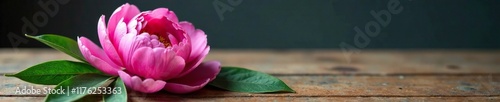 Pink peony flower with intricate blue petals on a wooden table, wooden table, still life
