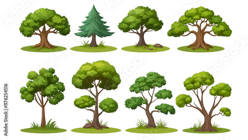 Collage with various trees on a transparent background. concept of nature