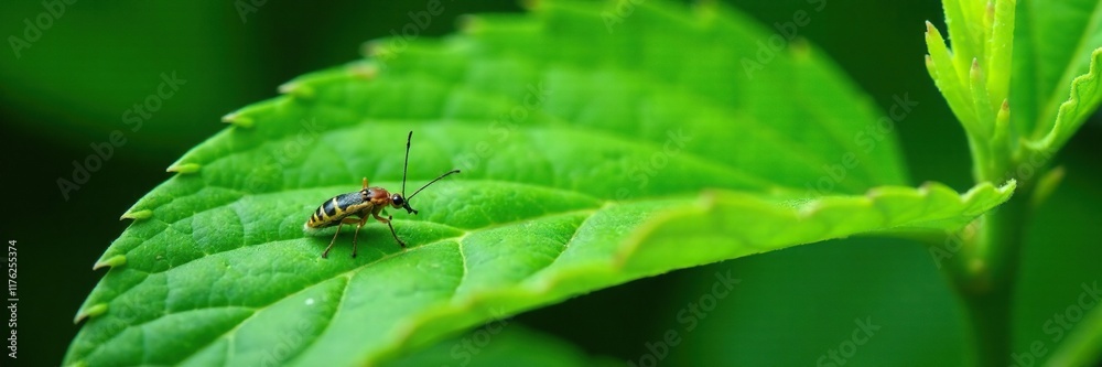 Green leaf with tiny insects under the surface, sucking insect, agriculture damage, natural enemy Green leaf with tiny insects under the surface, sucking insect, agriculture damage, natural enemy