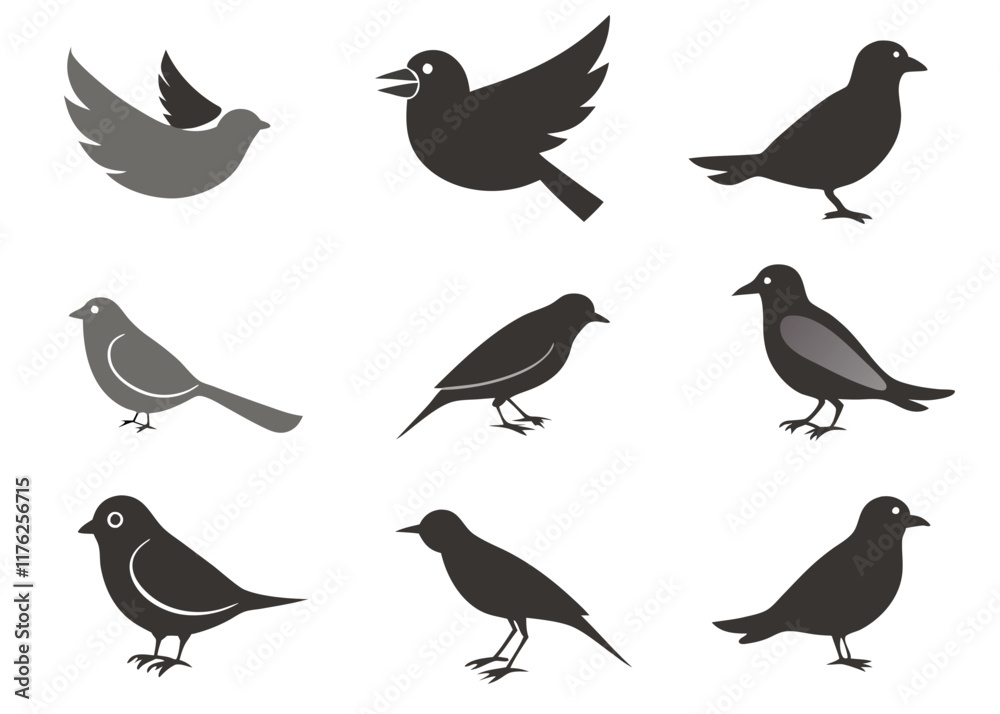 Birds silhouette collection on white background
Birds silhouette collection on white background
