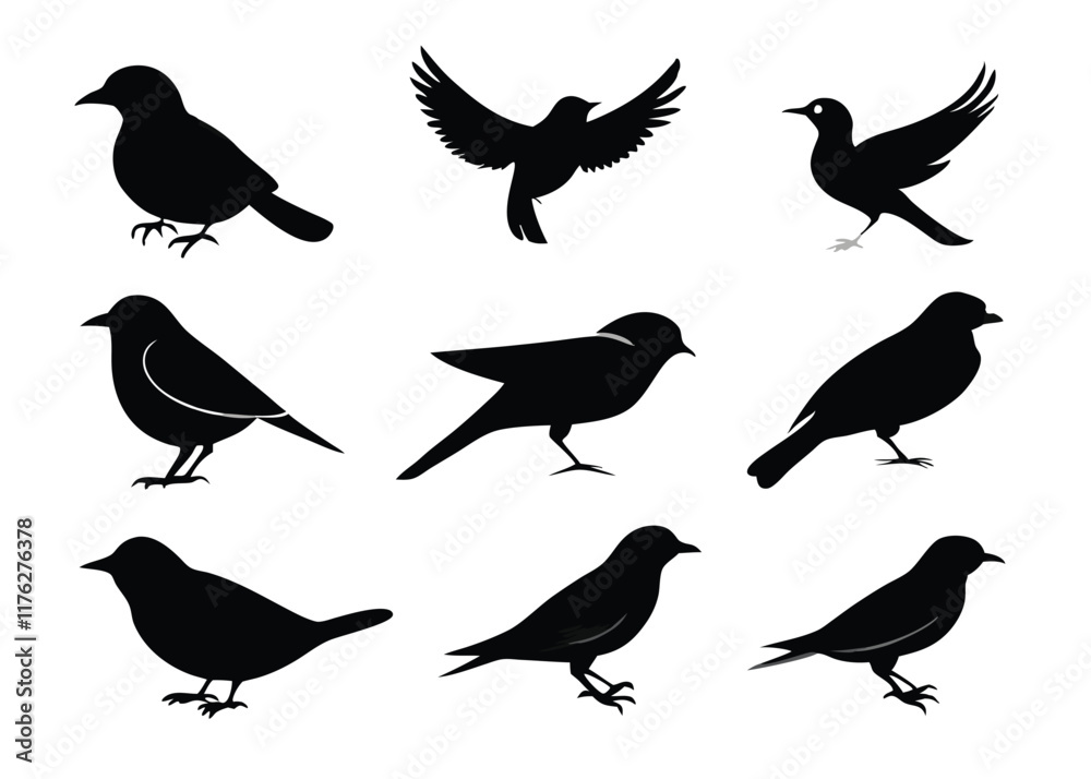 Obraz premium Birds silhouette collection on white background