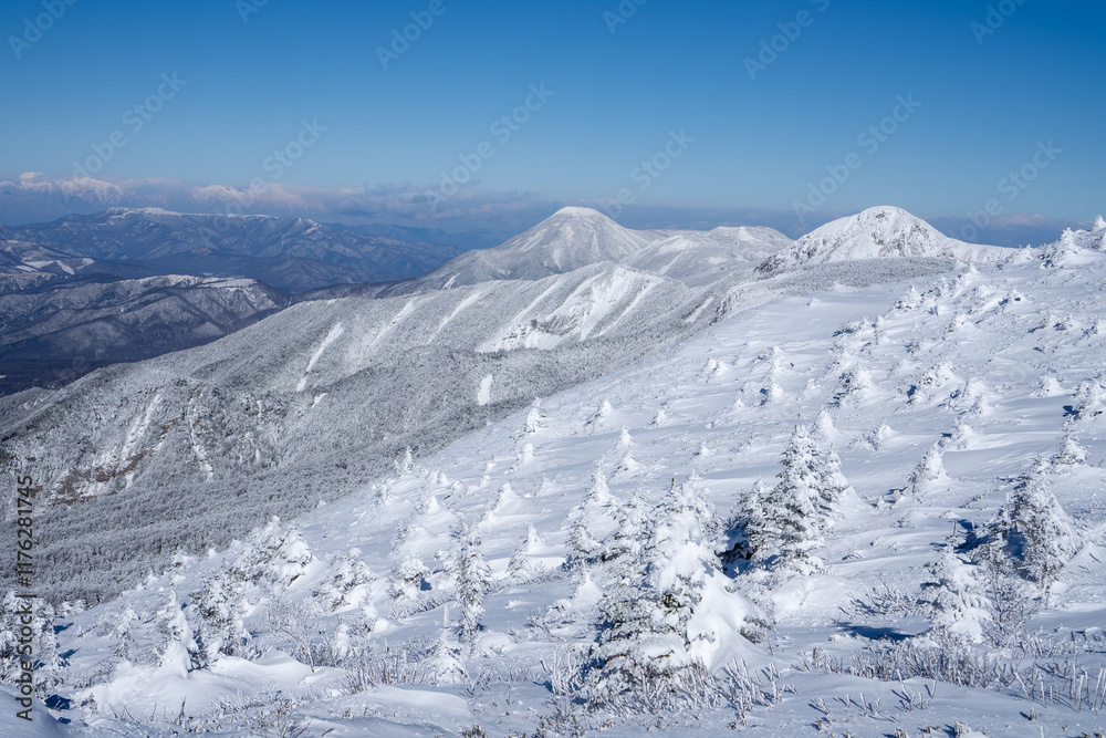 Obraz premium 雪山の景色と八ヶ岳ブルー スノーモンスター