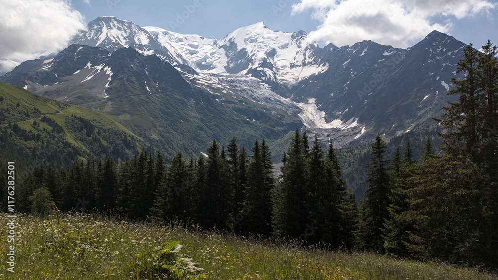 Obraz premium Mountains with Trees