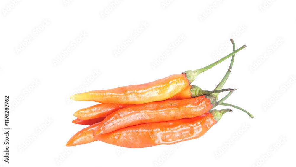 Group of orange hot chili on transparent background Group of orange hot chili on transparent background