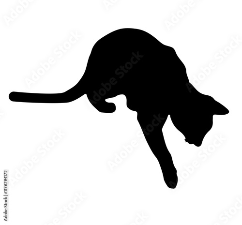 Curious Cat Silhouette 