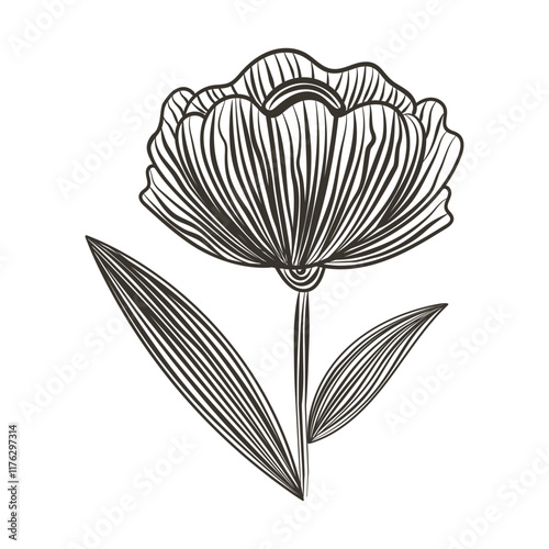 Single outline flower illustration. Element for delicate design, logo, stationery, or minimalist art prints