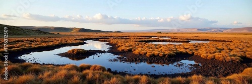 Peat bogs on the Somerset moors near Hurlstone Point, boggy, landscape