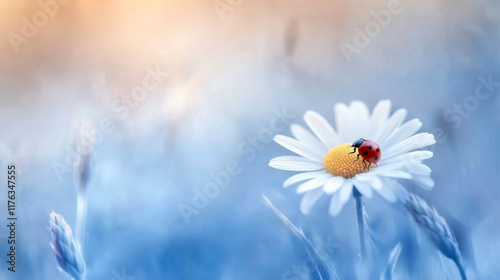 Beautiful natural background with daisy wheel and ladybug in blue
