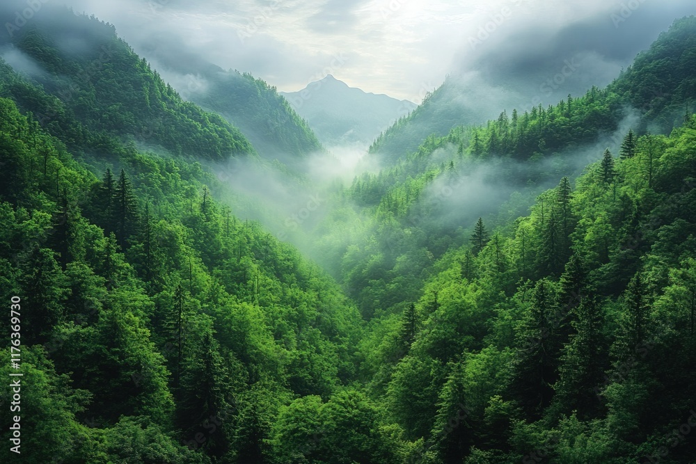 Fototapeta premium A serene valley surrounded by lush green forests and misty mountains, evoking tranquility and natural beauty.