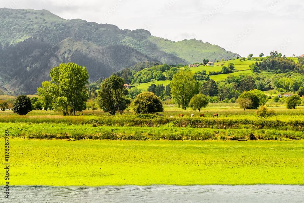 Obraz premium The beautiful city of Ribadesella, Asturias, Spain. Cantabrian Sea