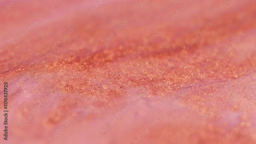 Paint fragment texture. Glitter swirls. Red white color gradient ink shiny sand particles surface art design on abstract modern background. Paint fragment texture. Glitter swirls. Red white color gradient ink shiny sand particles surface art design on abstract modern background.