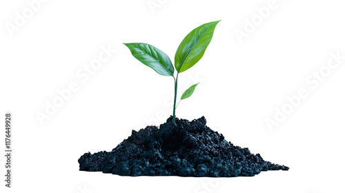 Bright green young plant with two vibrant leaves sprouting from dark soil, isolated on a clean white background. photo